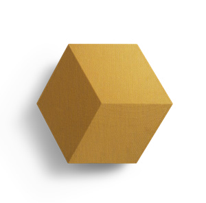 Shape